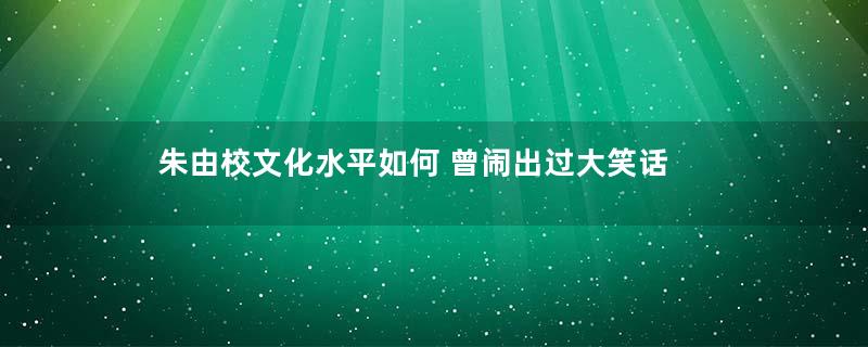 朱由校文化水平如何 曾闹出过大笑话